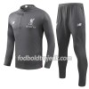 Liverpool Sweatshirt Dragt Grå 2018/19